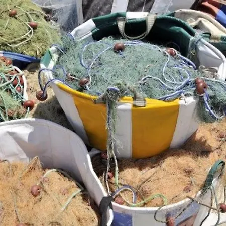 Dafnis Sunshine - Modern 3 Bedroom With Pool Villa